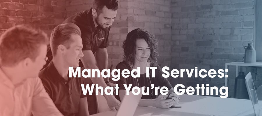 Outsourced IT provider working with employees