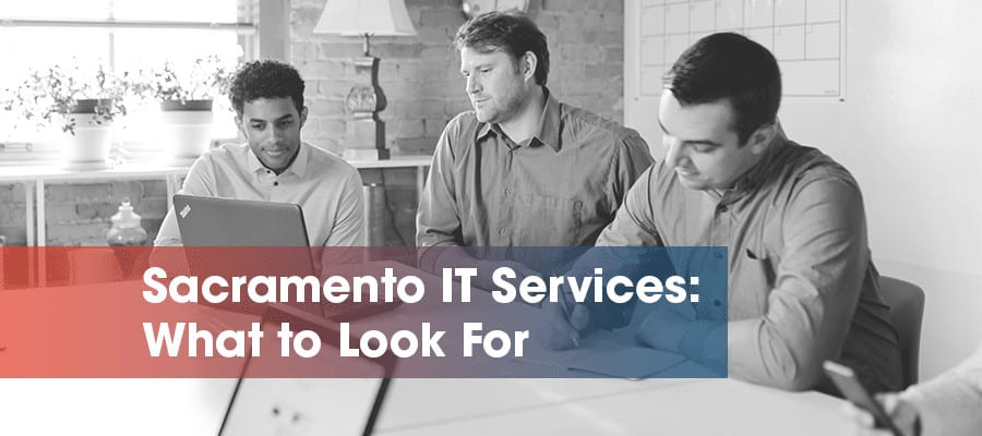 Employees at laptops searching for Sacramento IT Services Provider