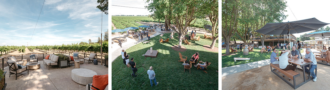 bogle vineyard scenery